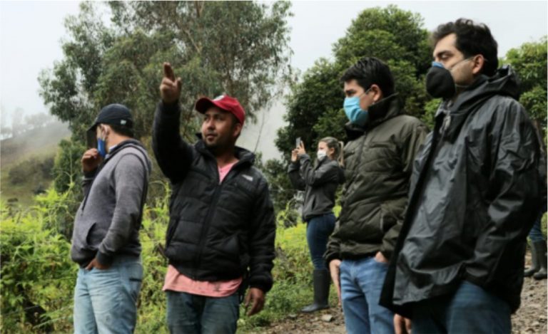 Un millón de árboles de cajeto, evitarán deforestación  en municipios metenses de la cordillera