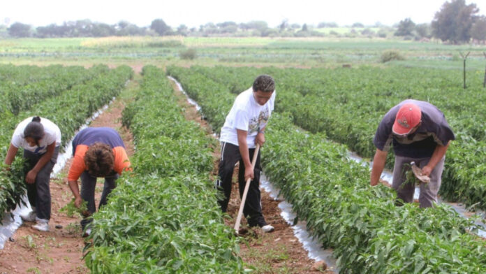 créditos agrarios