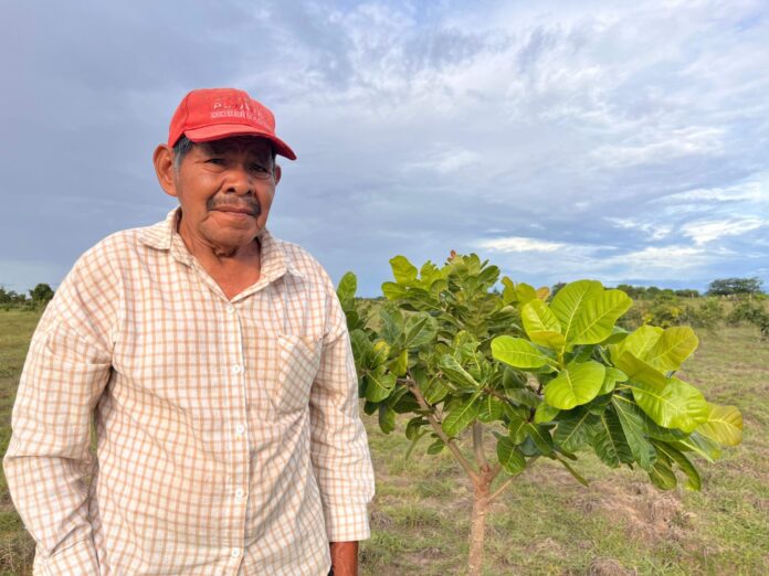 familias indígenas del Vichada
