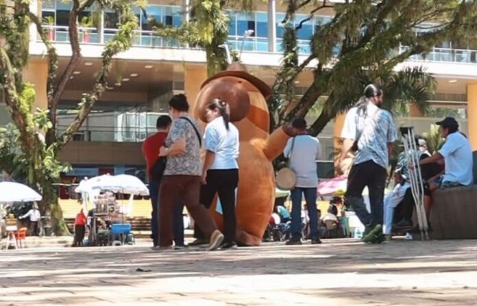 Chigüiro lector que fue visto en el centro y en algunos colegios de Villavicencio es buscado por la Casa de la Cultura chigüiro lector