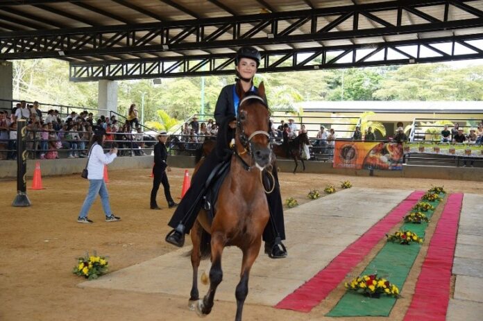 Feria Equina Grado A