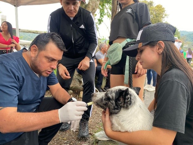 Exitosa jornada de desparasitación y recuperación ambiental en la vereda El Carmen jornada de desparasitación y recuperación ambiental