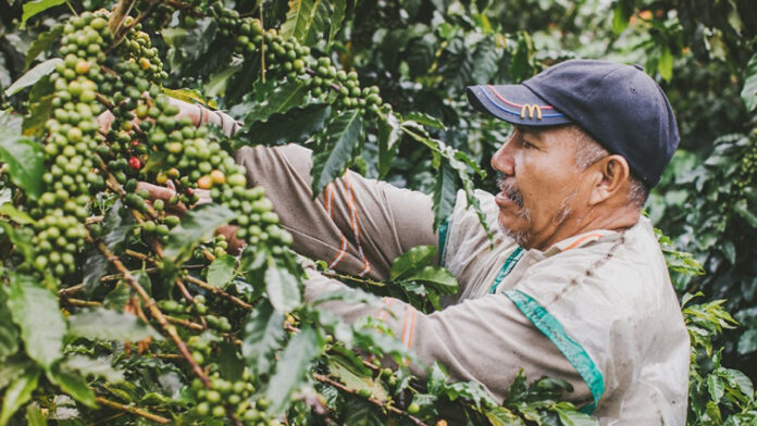 Exportaciones de bienes no minero energéticos