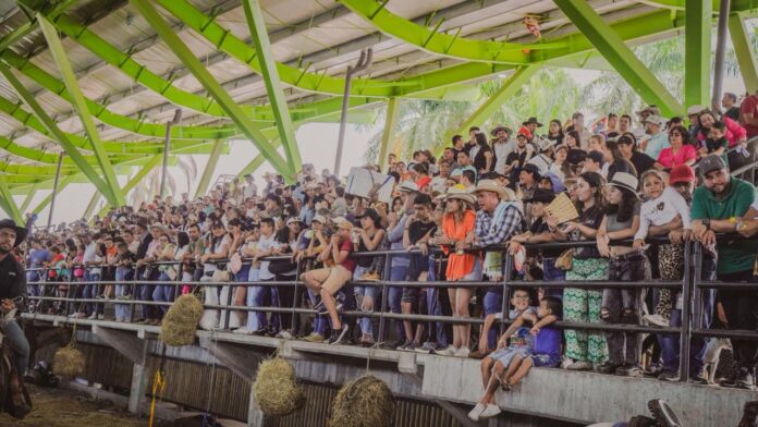 Feria Equina de Expomalocas 2026 posiciona al Meta como epicentro del sector equino