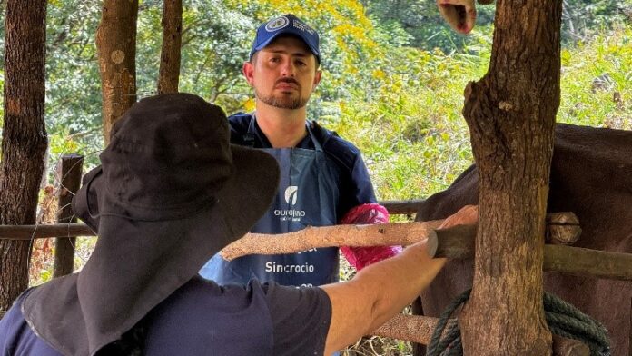 Fortalecimiento del campo en Villavicencio impulsó 1.624 asistencias técnicas en 2025