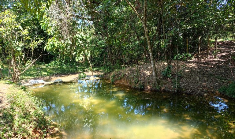 Cormacarena declaró el nuevo humedal  ‘Aguas Claras’ como área protegida en Villavicencio