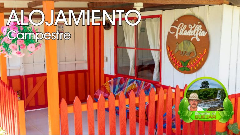 MarGuejar1 1 768x431