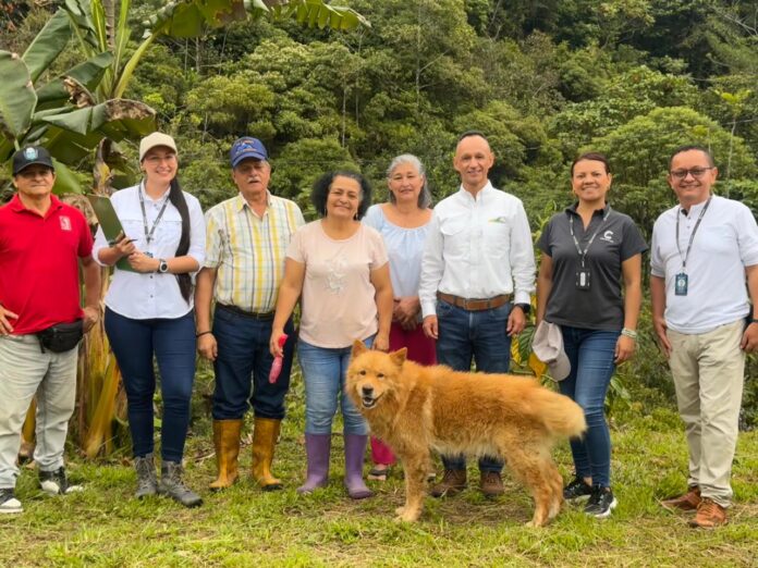 pagos por proteger los bosques