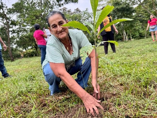 Meta conmemora el Día Nacional del Árbol con la siembra de más de 2.300 árboles