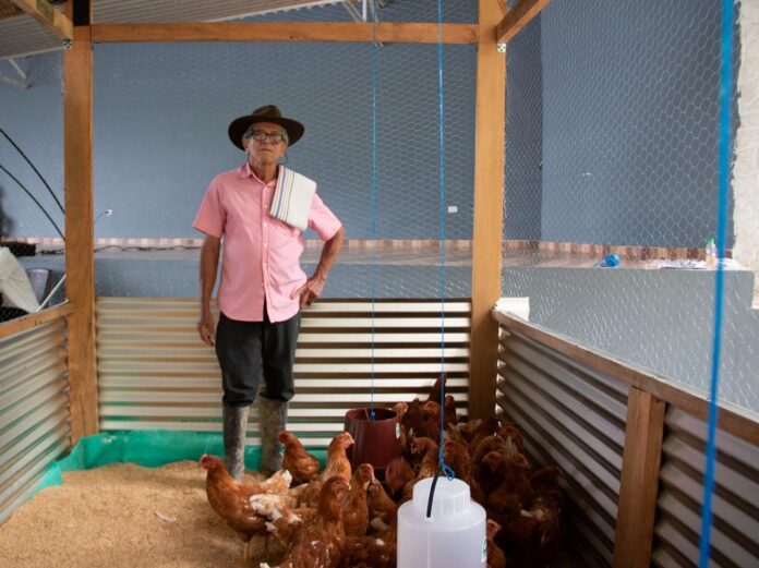 Proyectos productivos avícolas para adultos mayores rurales llegan a Villavicencio