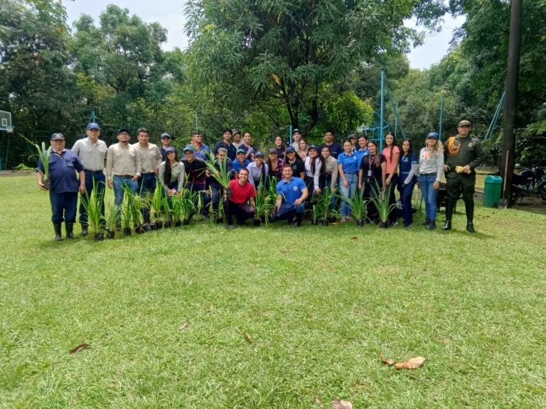 Secretaría de medio ambiente lideró siembra de 90 árboles en la Universidad Cooperativa