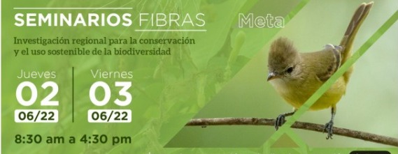 Seminario Fibras