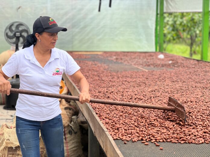 cacao