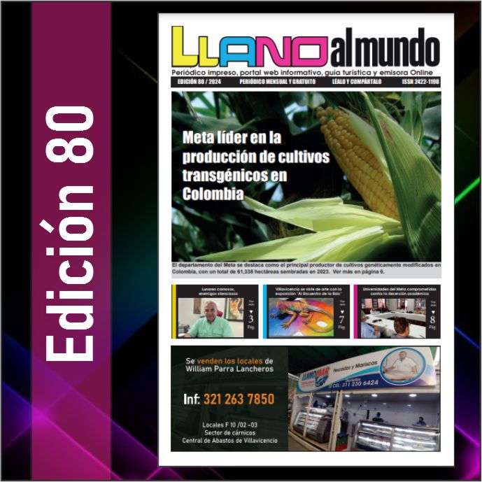 Periódico Llano al Mundo - Noticias de Villavicencio, Meta y Llano,